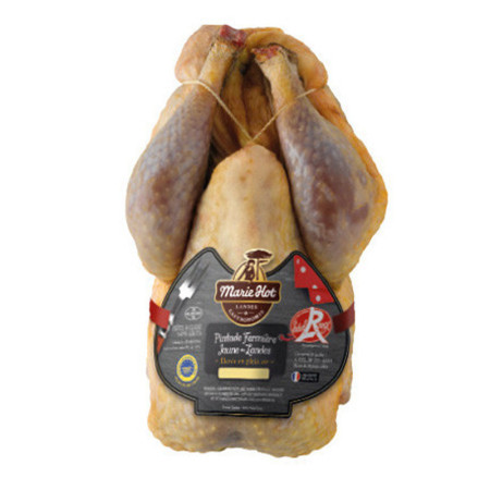 Les Fermiers Landais Guinea Fowl