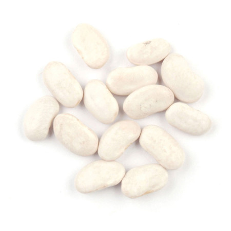 Sabarot Tarbais Beans