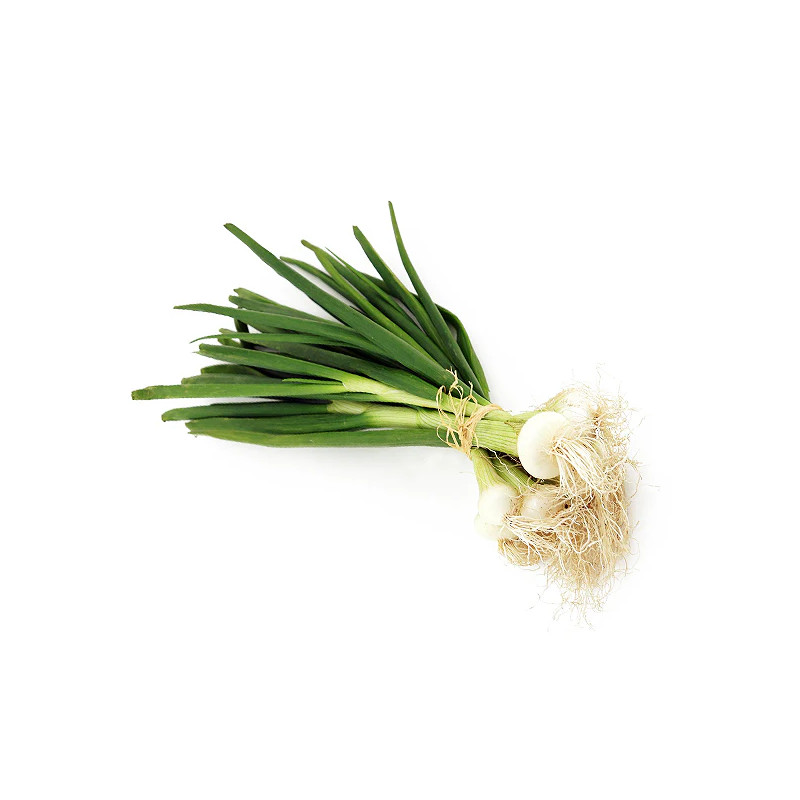 White Grelot Onions