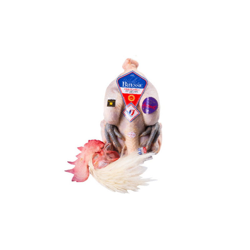 Mieral Oven Ready Bresse Female Poulette Chicken