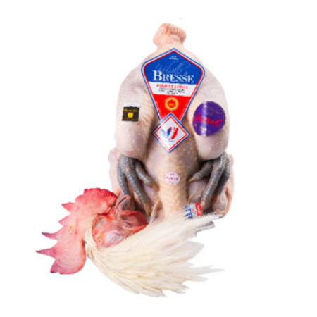 Mieral Oven Ready Bresse Female Poulette Chicken