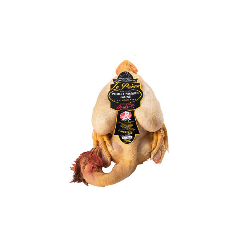 Mieral Black Leg Prince De Dombes Chicken