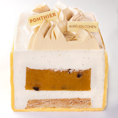 Ponthier Fresh Passion Fruit Puree 10% Sweetened