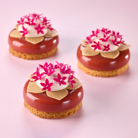 Boiron Frozen 100% Redcurrant Puree