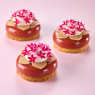 Boiron Frozen 100% Redcurrant Puree