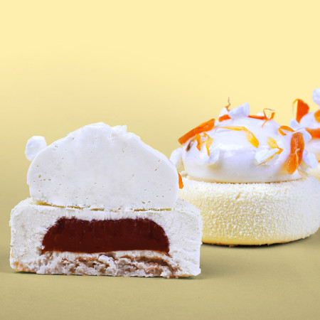 Boiron Frozen 100% Apricot Puree