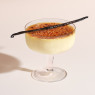 Crème brûlée Professional Dessert Base