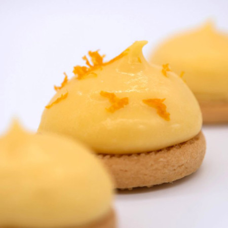 Louis François Citrus Fibre