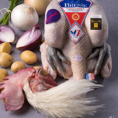 Mieral Bresse Male Chicken