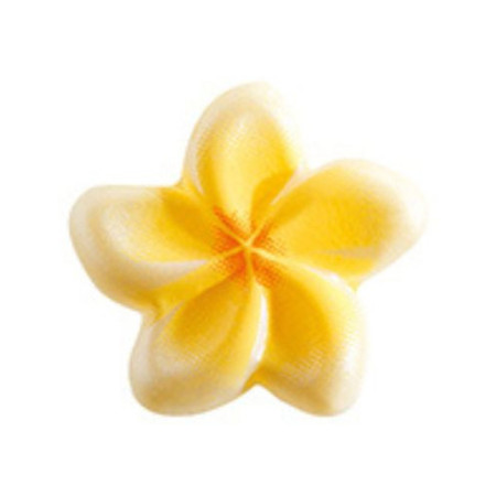 PCB Creation White Chocolate Tiare Flowers