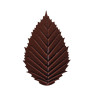 PCB Creation Small Ribbed Dark Chocolate Leaves