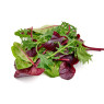 Mixed Salad Leaf