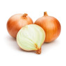 Spanish Onion