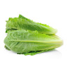Cos Lettuce