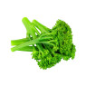 Tenderstem Broccoli