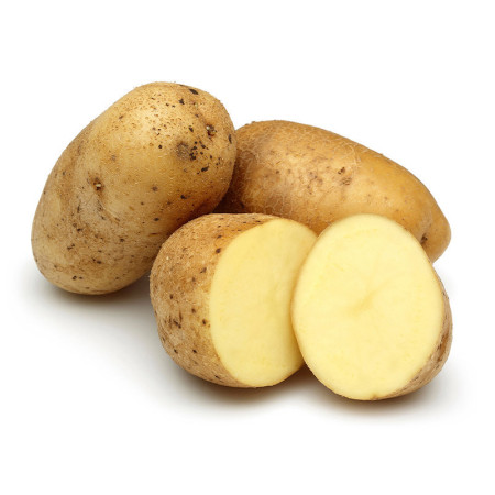 Potato Agria