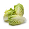 Baby Gem Lettuce