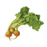Baby Golden Beetroot Bunch