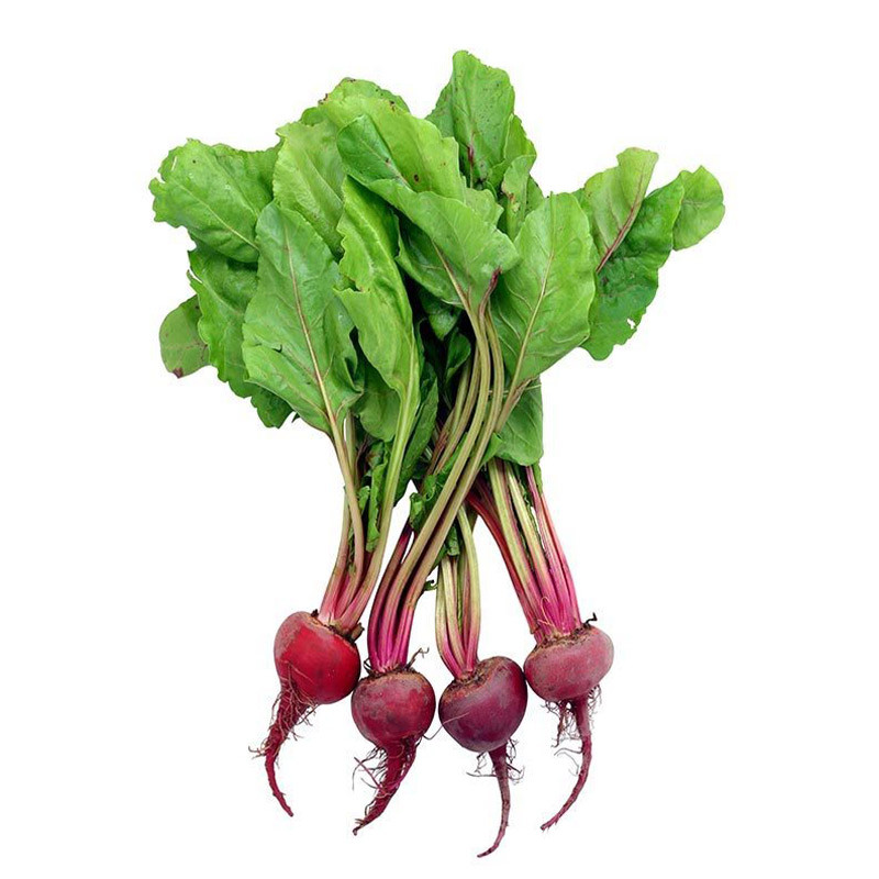 Baby Candy Beetroot Bunch