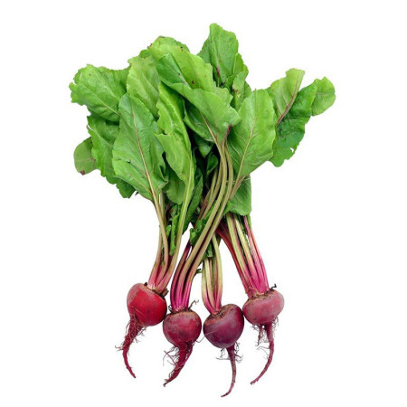 Baby Candy Beetroot Bunch