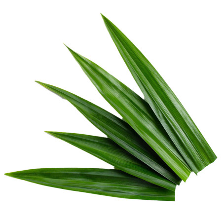 Pandan Leaves