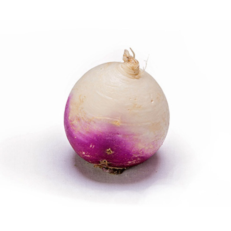 Baby Yukon Turnip