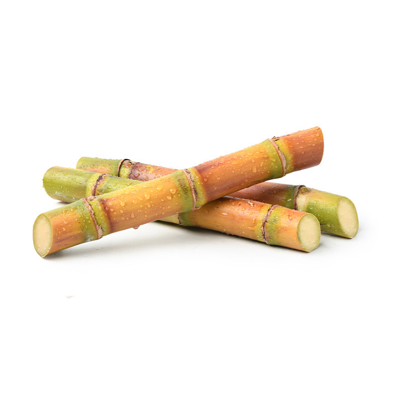 Sugar Cane