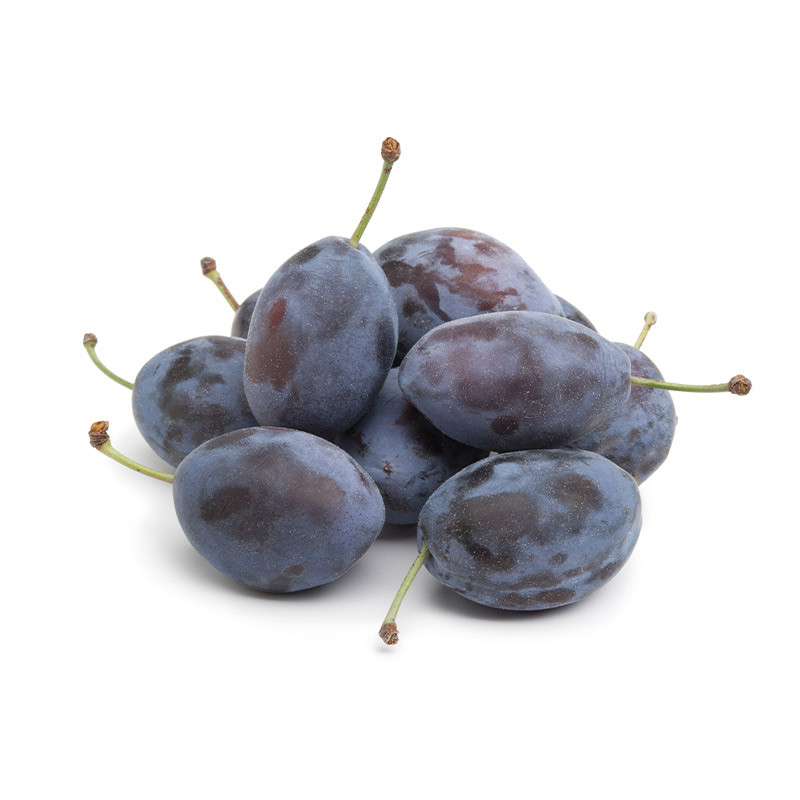 Damson Plum