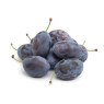 Damson Plum