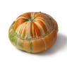 Turban Squash