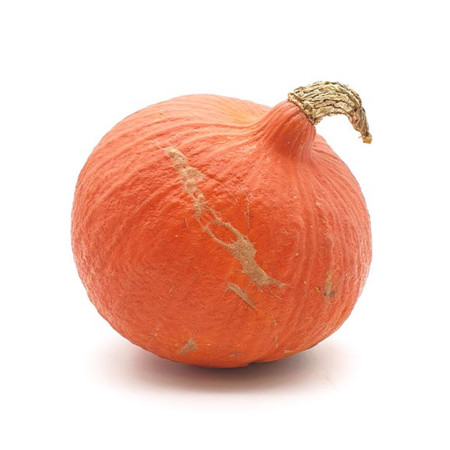 Onion Squash