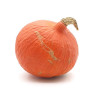 Onion Squash