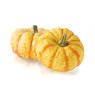 Sweet Lightning Squash