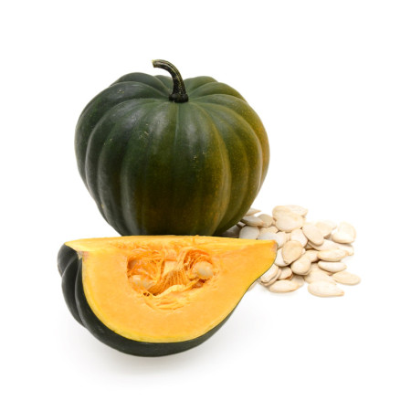 Acorn Squash