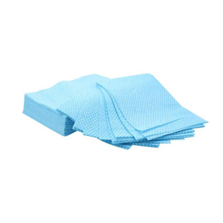 All Purpose Large Blue Cloths