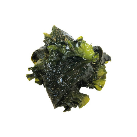 Algolesko Organic Fresh Salted Kombu Royal Seaweed