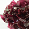 Algolesko Organic Fresh Salted Dulse Seaweed