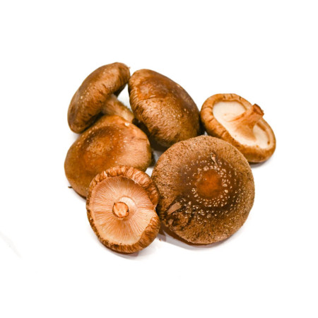 Shitake Mushrooms Forest Fungi  7-8cm