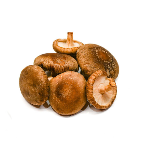 Shitake Mushrooms Forest Fungi  7-8cm