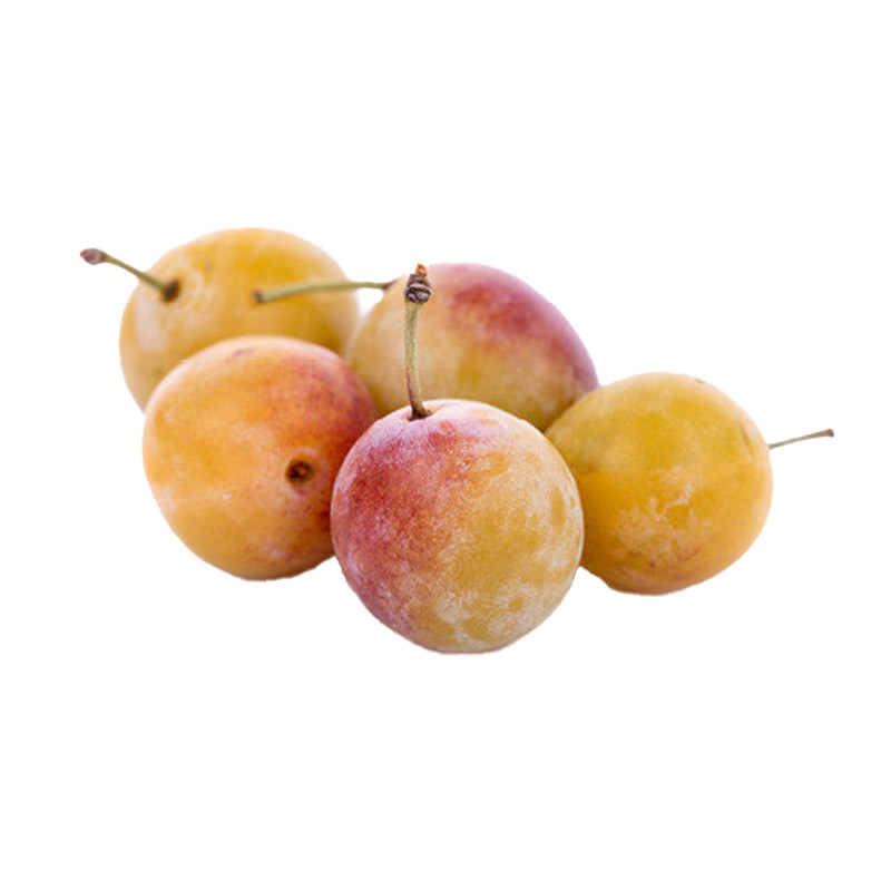 Mirabelle Plum