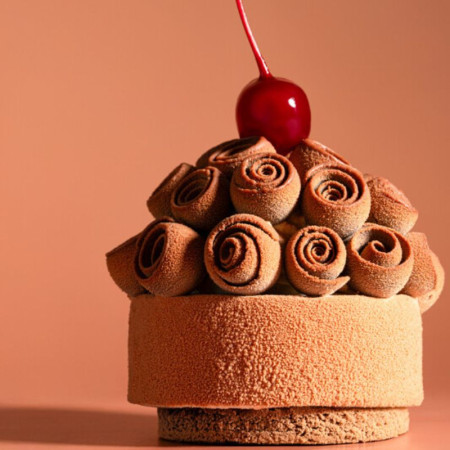 Boiron Frozen 100% Morello Cherry Puree