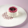 Boiron Frozen 100% Blackcurrant Puree