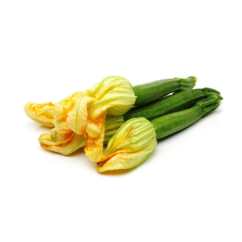 Courgette Flowers Female