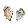Ostra Regal Speciales Oysters N.4