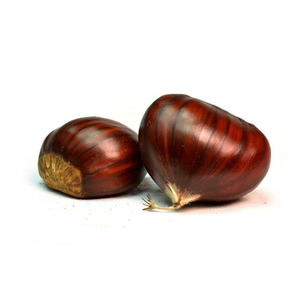 Fresh Chestnuts