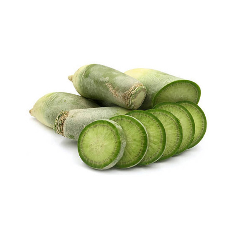 Green Meat Radish