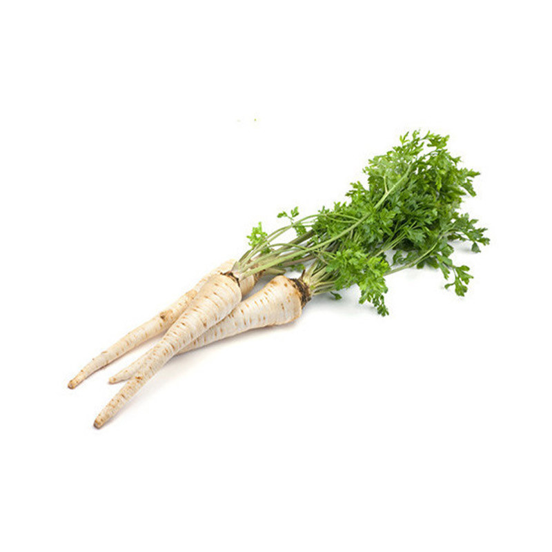 Parsley Root