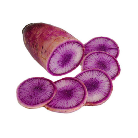 Blue Meat Radish