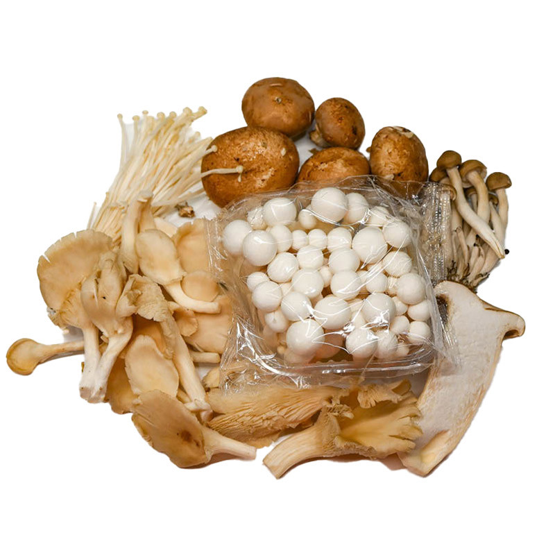 Mixed Cultivated Mushrooms