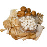 Mixed Cultivated Mushrooms